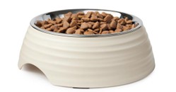 pet-food-bowl